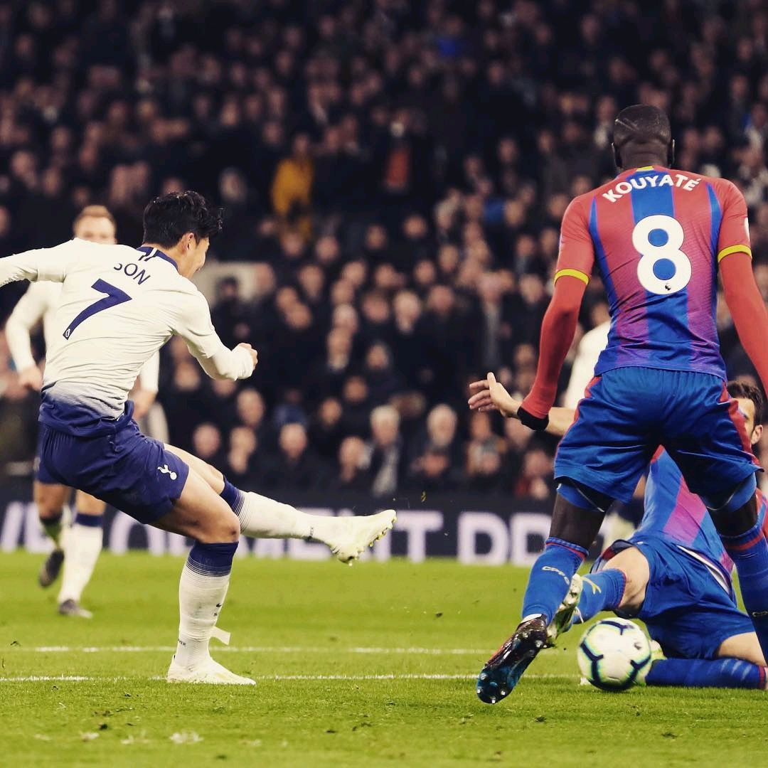 齡較大的球 齡較大的球